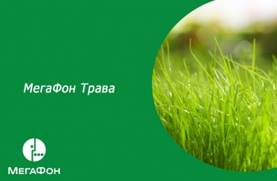 МегаФон Трава: опция «Трава.Ру» и портал Трава-Онлайн